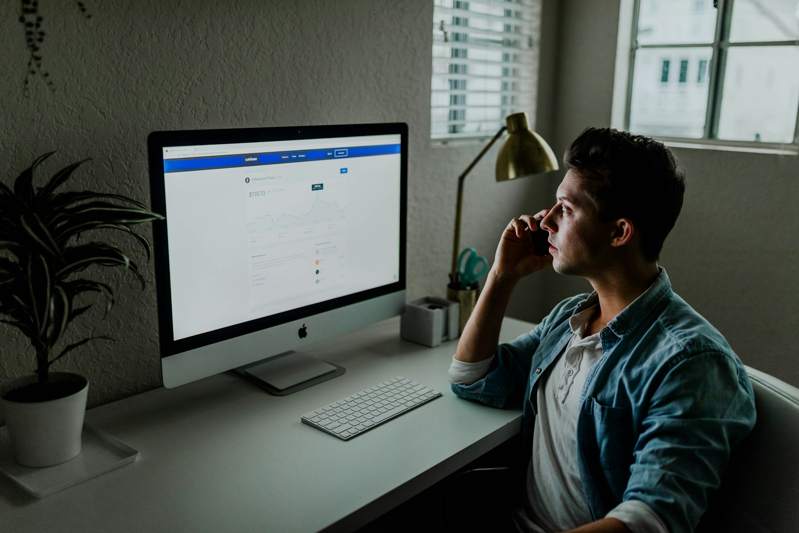 Man analysing financial data on computer screen next to plant, talking on phone, in sunlit office workspace